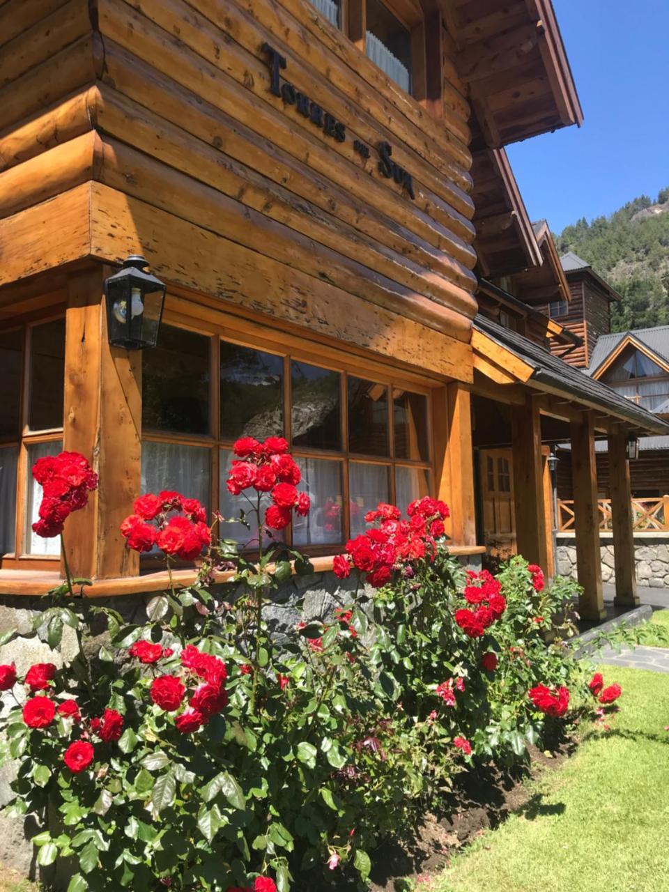 Apart Torres Del Sur Сан-Мартін-де-лос-Андес Екстер'єр фото